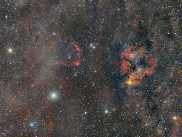 Cepheus 