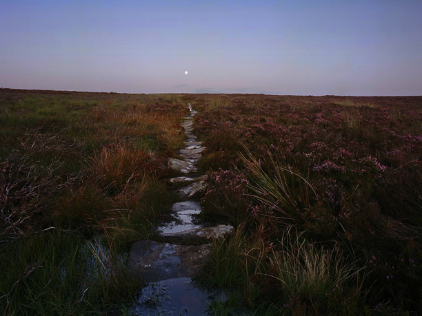 Night Landscapes 